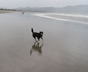 Beach at Agate Beach at low tide