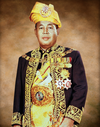 Agong Putra of Perlis.png