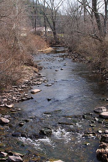 Beaver Run looking upstream.jpg