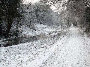 Boyne Navigation Canal