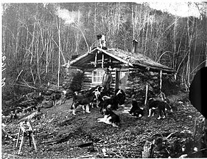 Cabin on the Yukon Flats