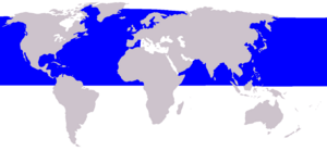 Cetacea range map Minke Whale.png