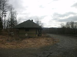 Chemung Station - 2012