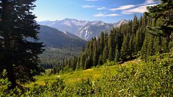 Copper Creek Trail