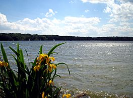 Cowan lake-kmf.JPG