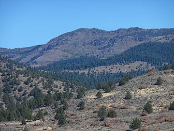 Crane Mountain, Lake County, Oregon.jpg