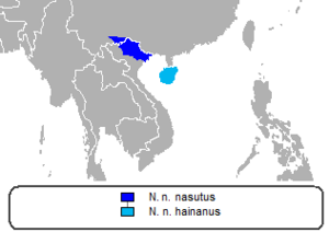 Distribución nomascus nasutus.png