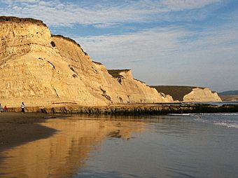 Drakes Bay Seacliffs.JPG