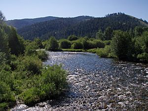 East Fork Bitterroot River