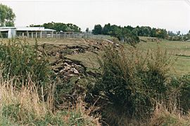 Edgecumbe quake008