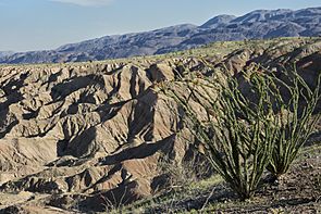 Erosion in Anza-Borrego