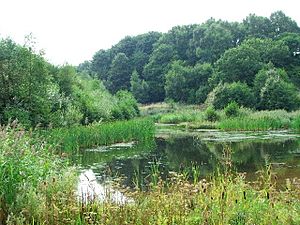 Far Pastures - geograph.org.uk - 52967