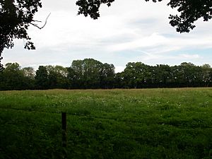 Frankenbury Camp geograph-514599-by-Barry-Deakin.jpg