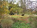 Frankfurt Palmengarten Herbst 2005b