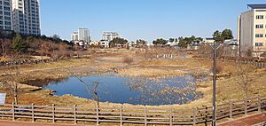 Geumgok Reservoir