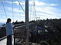 Grandfather Mountain Bridge