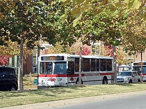 Gray Route, Razorback Transit, autumn