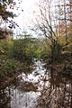 Johns Creek (Chattahoochee River) at Findley Road, Nov 2017