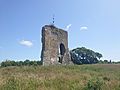 Knepp Castle, July 2021 (1)