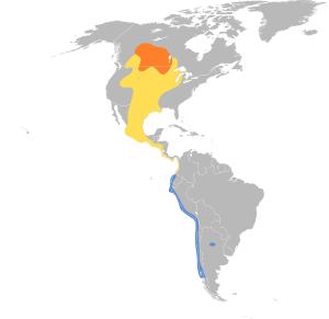 Leucophaeus pipixcan map.svg