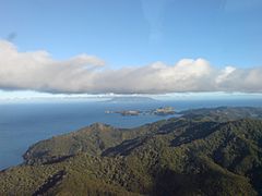 Little Barrier Island From Above Great