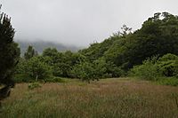 Glengarriff National Park