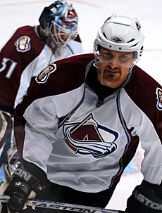 Milan Hejduk 2008.jpg