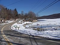 NY 292 near Whaley Lake