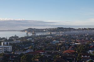 Orewa morning.jpg