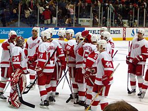 Red Wings vs Blue Jackets