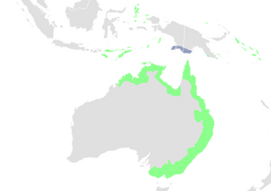 Rufous Fantail range.png