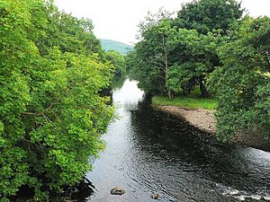 The River Add - geograph.org.uk - 1014933