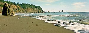 Third Beach, Washington coast