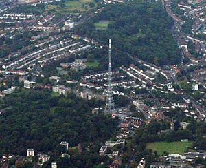 Upper Norwood from Aeroplane.jpg