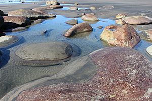 Urenui Beach, New Zealand (4)