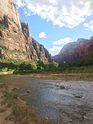 Utah Zion View