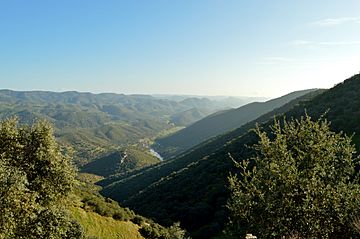 Valles típicos de Obejo, Sierra Morena.JPG