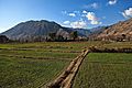 Valley in Kunar-2012