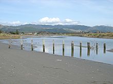 WaikanaeRiverEnteringTasman