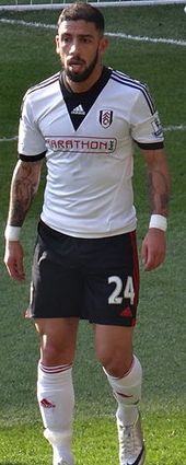 Ashkan Dejagah, Fulham