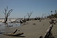 Boneyard beach bulls island