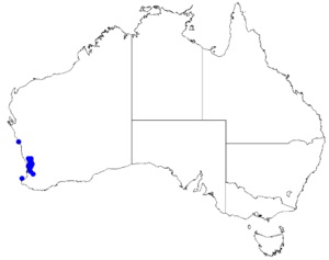 Boronia ovata DistMap85.png