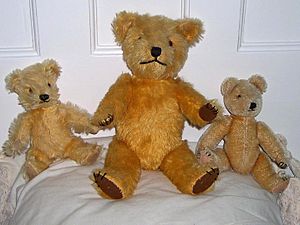 Chiltern bears Chesham Museum