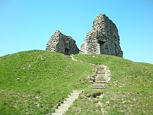 Christchurch Castle Keep and Motte