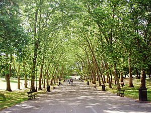 Crystal Palace Park