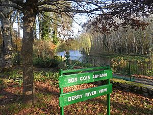 Derry River (Leinster)