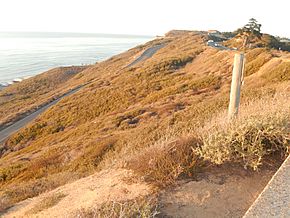 Dry terrain at Cabrillo National Monument, CA DSCN0439