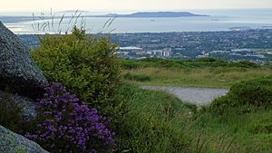 DublinBay from Ticknock july04 2019