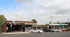 Dundas Valley shops 2014-04-28