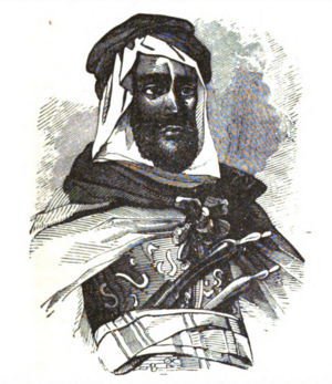 Fendi Al-Fayez